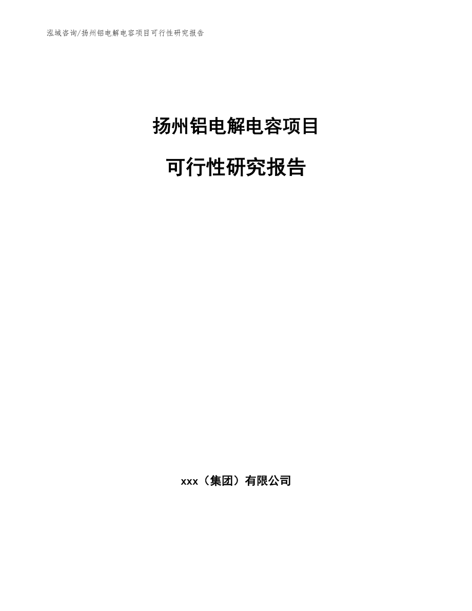 扬州铝电解电容项目可行性研究报告_第1页