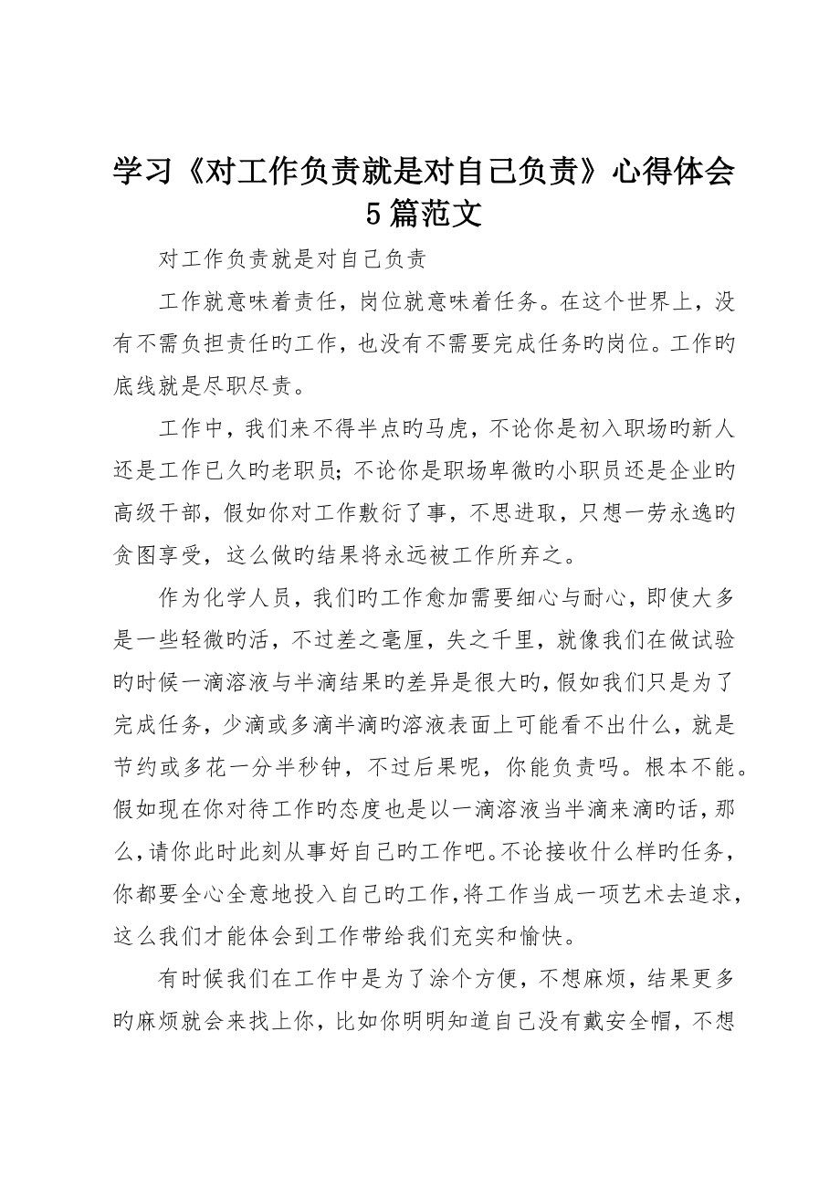 学习《对工作负责就是对自己负责》心得体会5篇范文_ (2)_第1页