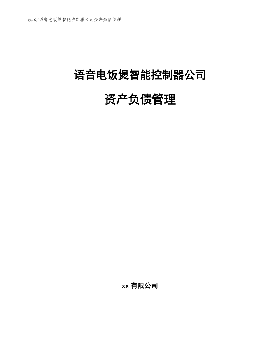 语音电饭煲智能控制器公司资产负债管理（参考）_第1页