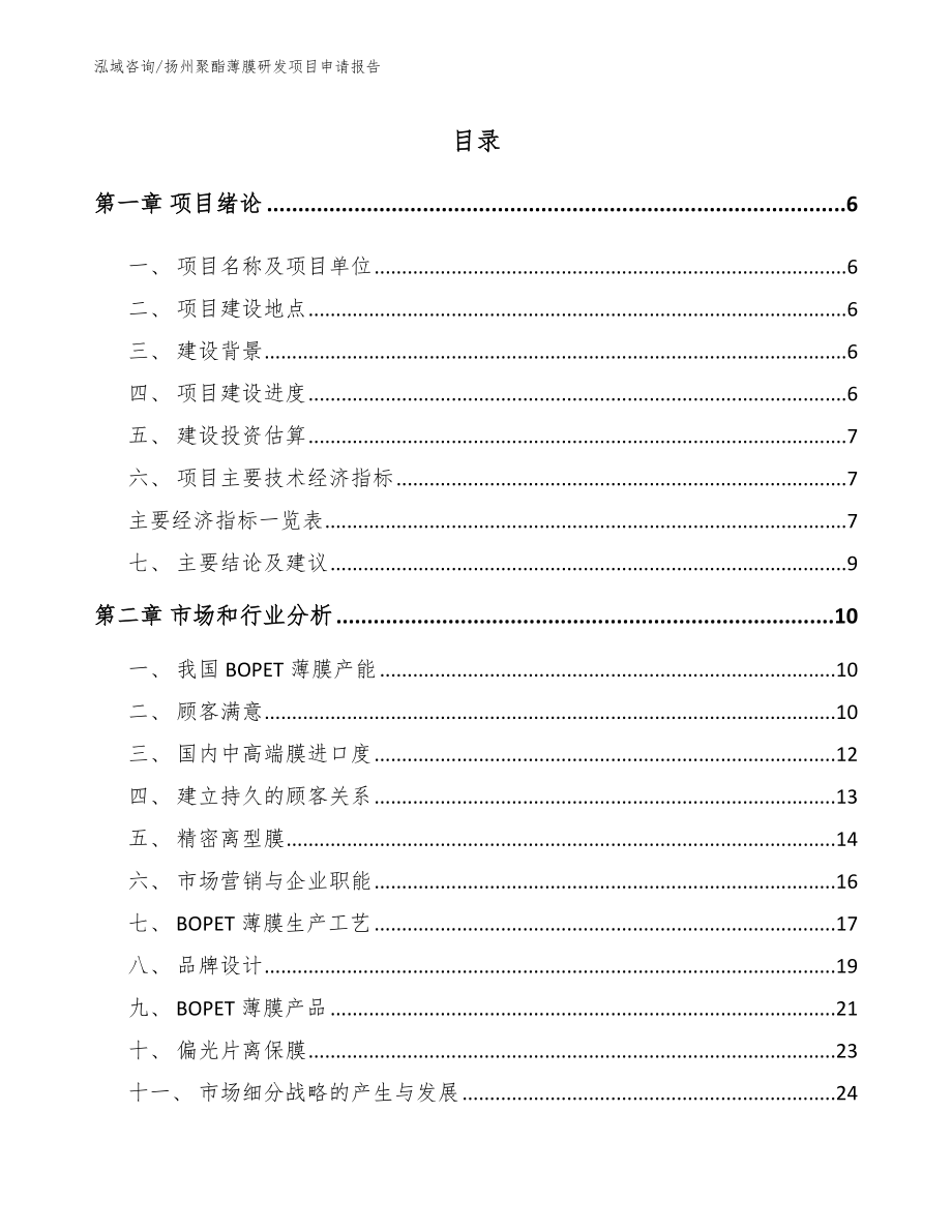 扬州聚酯薄膜研发项目申请报告_第1页