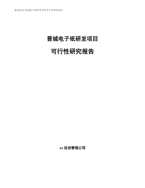 晋城电子纸研发项目可行性研究报告