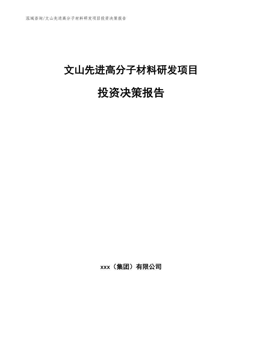 文山先进高分子材料研发项目投资决策报告模板范文_第1页