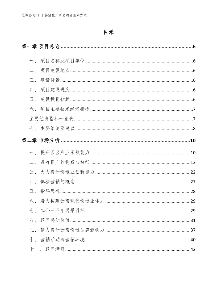 新平县盐化工研发项目策划方案模板参考_第1页