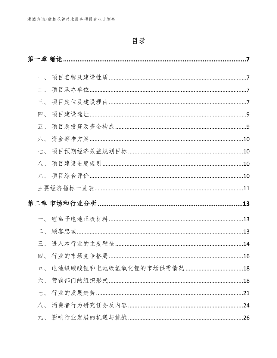 攀枝花锂技术服务项目商业计划书（模板参考）_第1页