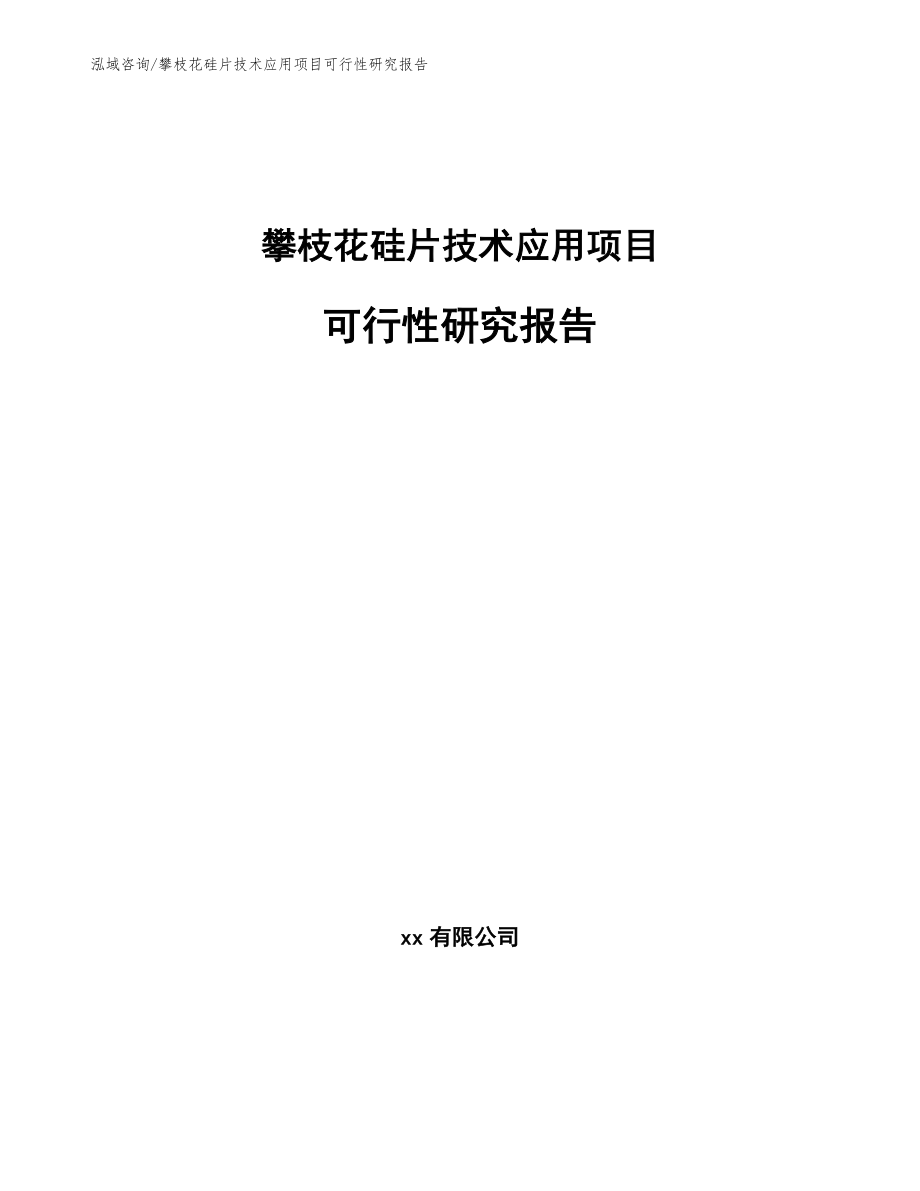 攀枝花硅片技术应用项目可行性研究报告【模板范文】_第1页