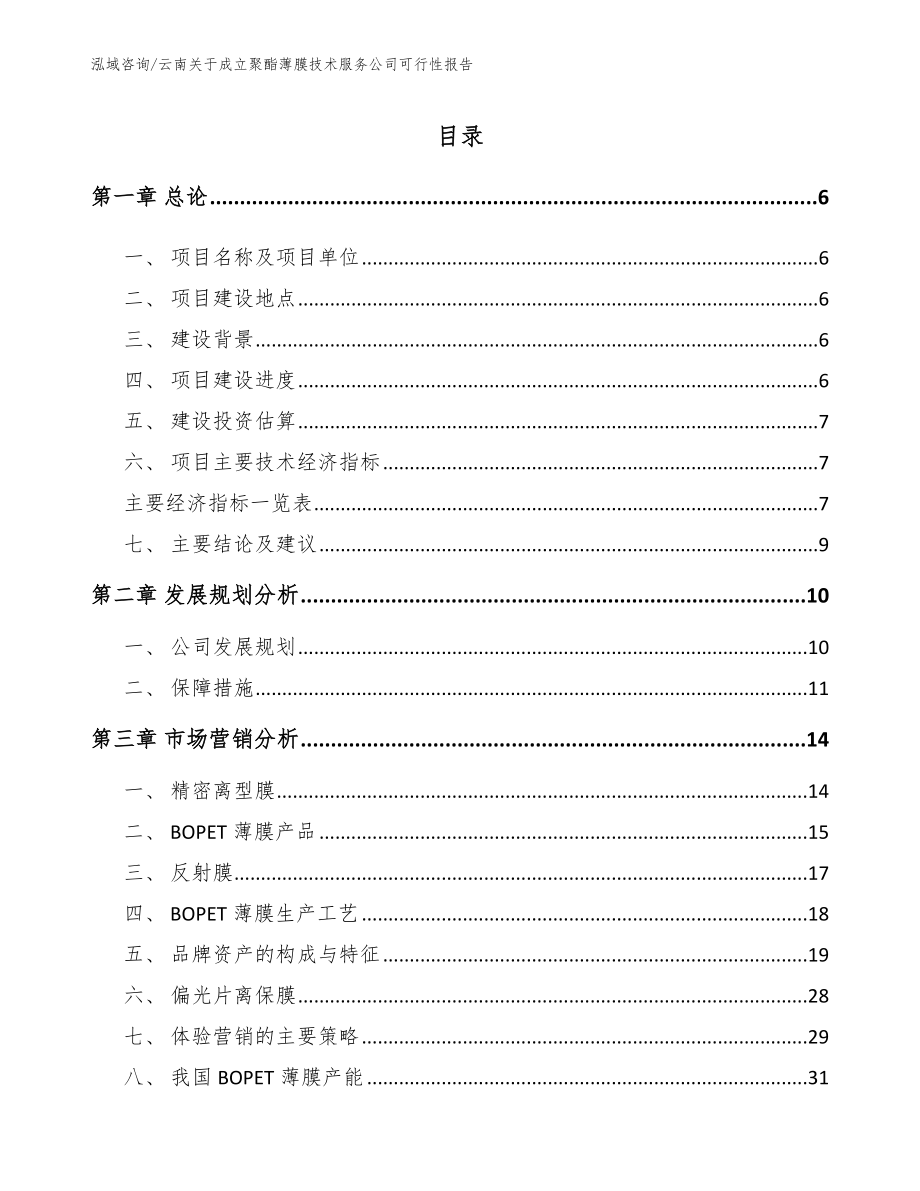 云南关于成立聚酯薄膜技术服务公司可行性报告（范文模板）_第1页