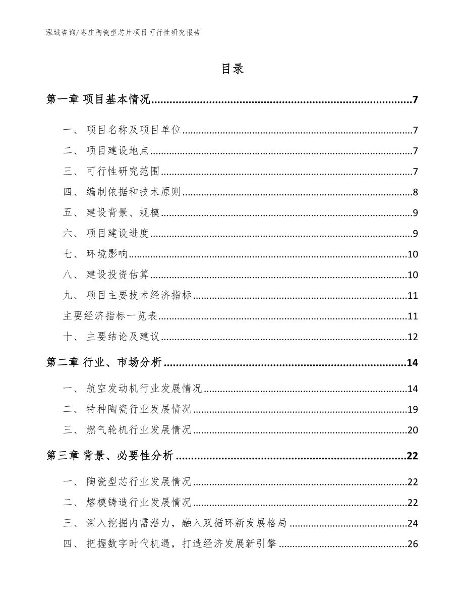 枣庄陶瓷型芯片项目可行性研究报告（模板参考）_第1页