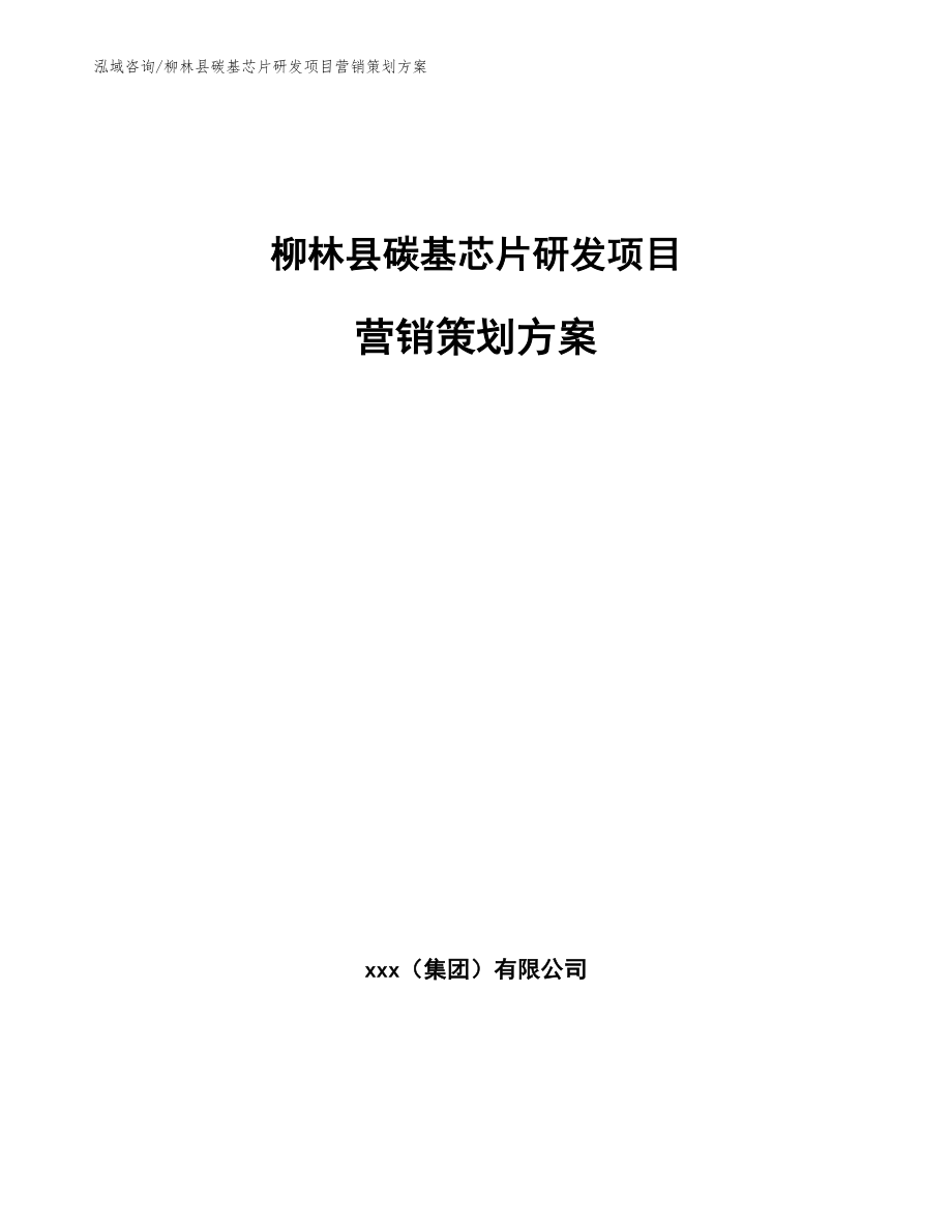 柳林县碳基芯片研发项目营销策划方案_第1页