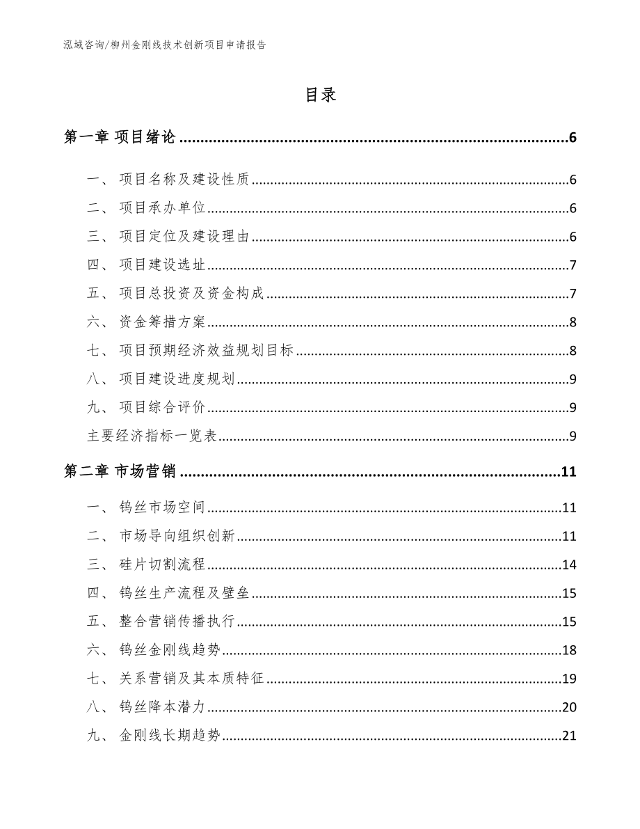 柳州金刚线技术创新项目申请报告范文模板_第1页