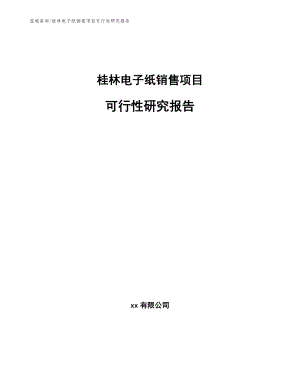 桂林电子纸销售项目可行性研究报告【范文】