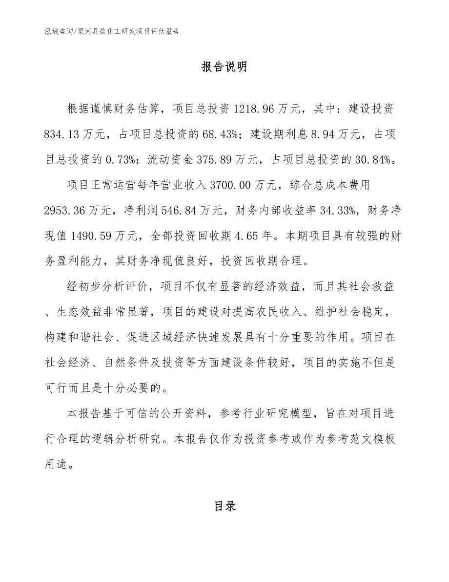 梁河县盐化工研发项目评估报告_第1页