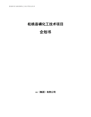 松桃县磷化工技术项目企划书