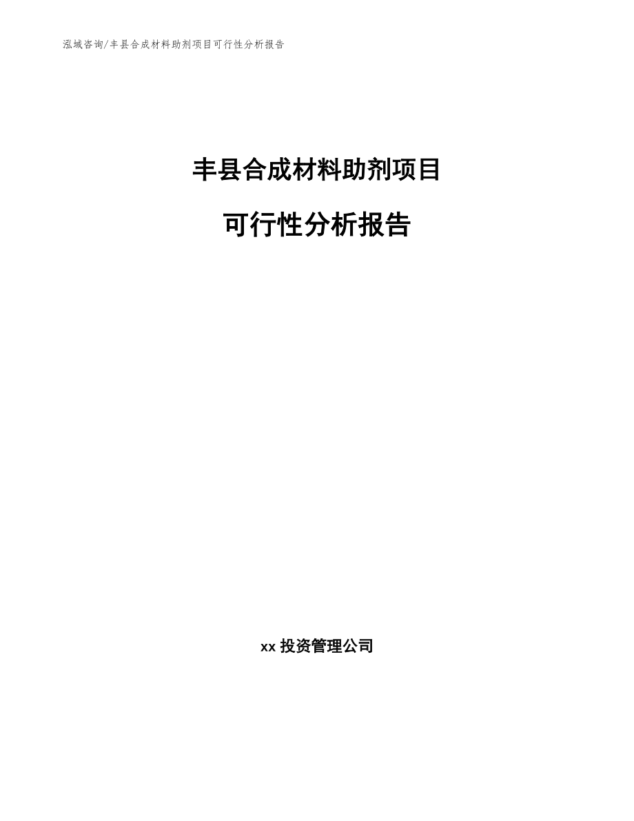 丰县合成材料助剂项目可行性分析报告_第1页