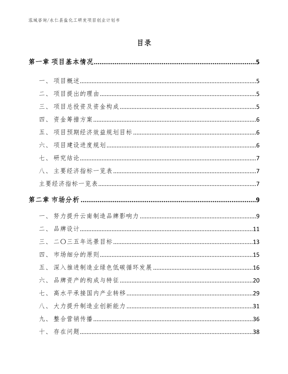 永仁县盐化工研发项目创业计划书【模板】_第1页