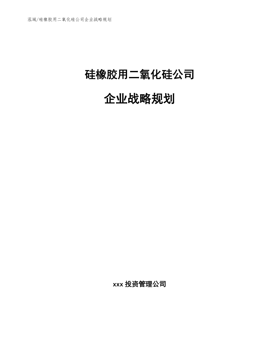 硅橡胶用二氧化硅公司企业战略规划_第1页