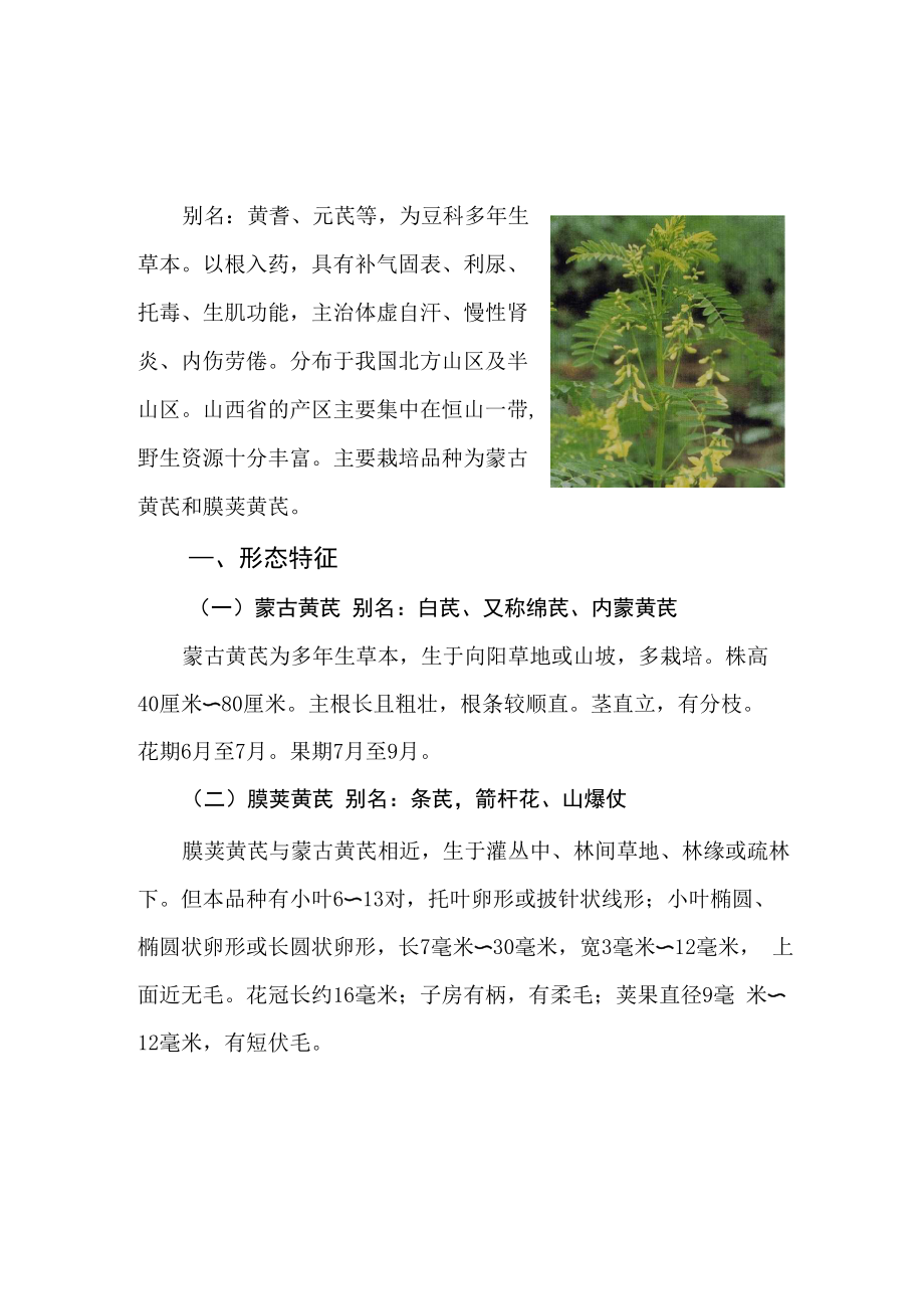 黄芪的栽培技术_第1页