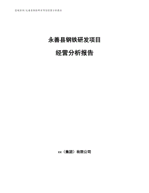 永善县钢铁研发项目经营分析报告_模板范本