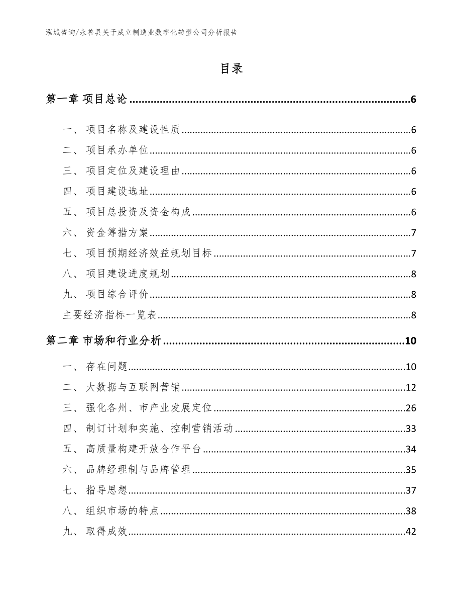 永善县关于成立制造业数字化转型公司分析报告模板_第1页