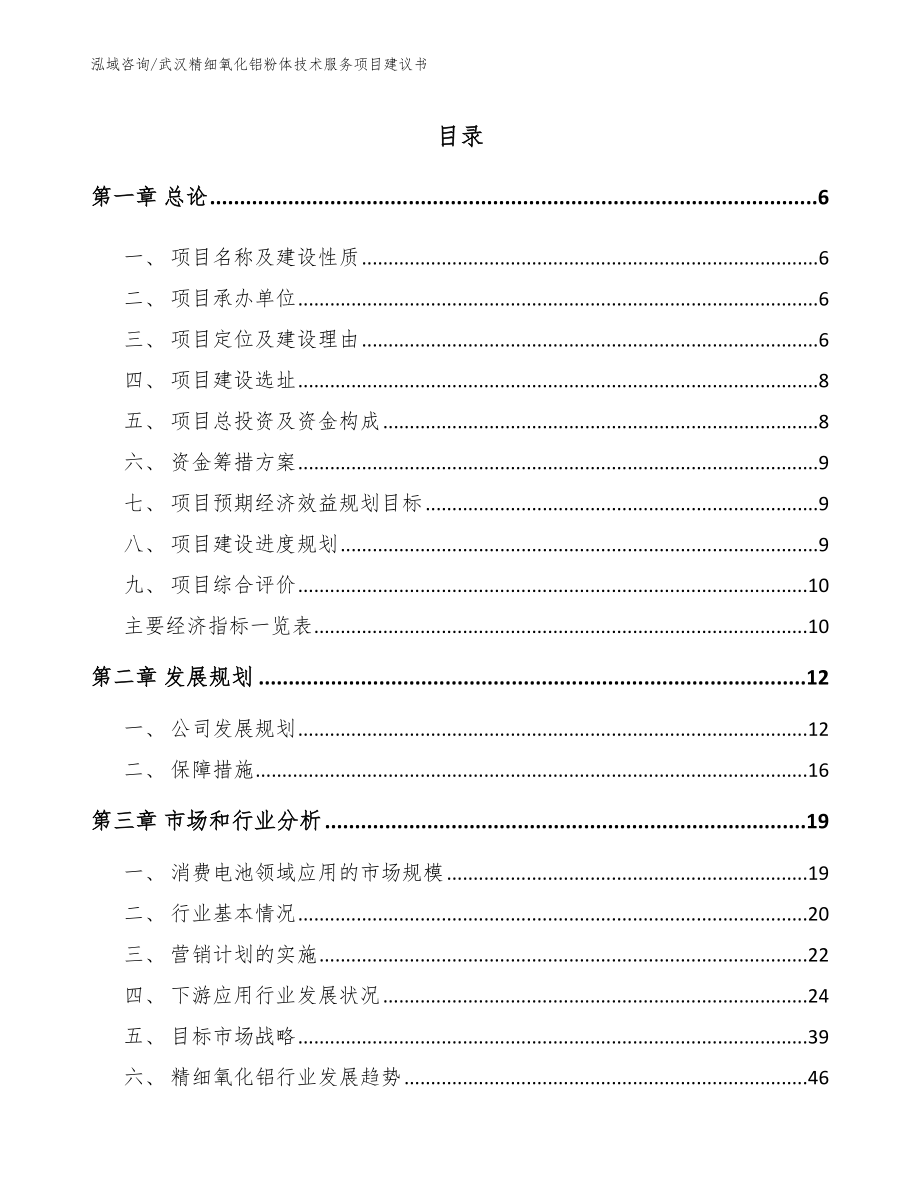 武汉精细氧化铝粉体技术服务项目建议书_第1页