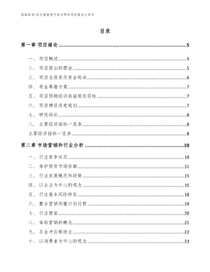 武汉智能电子技术研发项目商业计划书