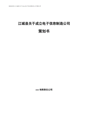 江城县关于成立电子信息制造公司策划书【参考模板】