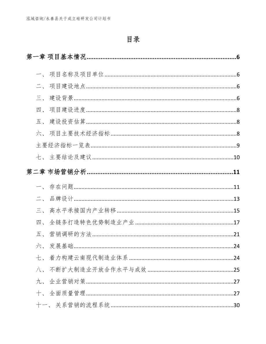 永善县关于成立硅研发公司计划书（范文模板）_第1页