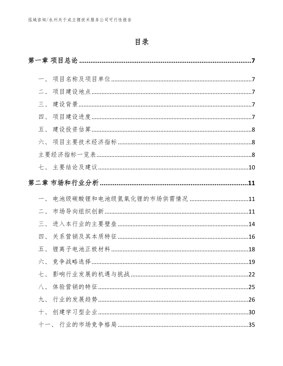 永州关于成立锂技术服务公司可行性报告（参考范文）_第1页