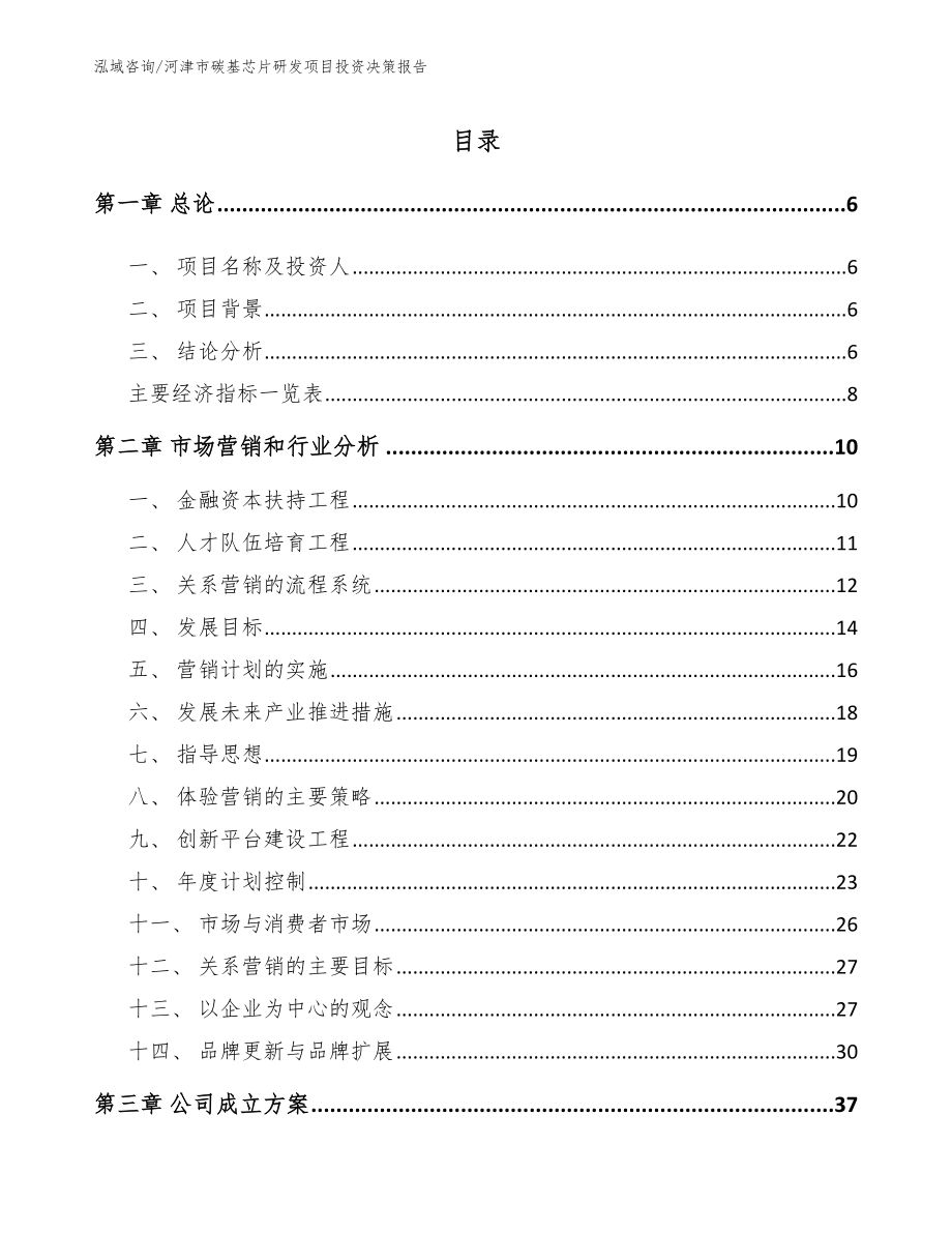 河津市碳基芯片研发项目投资决策报告_第1页