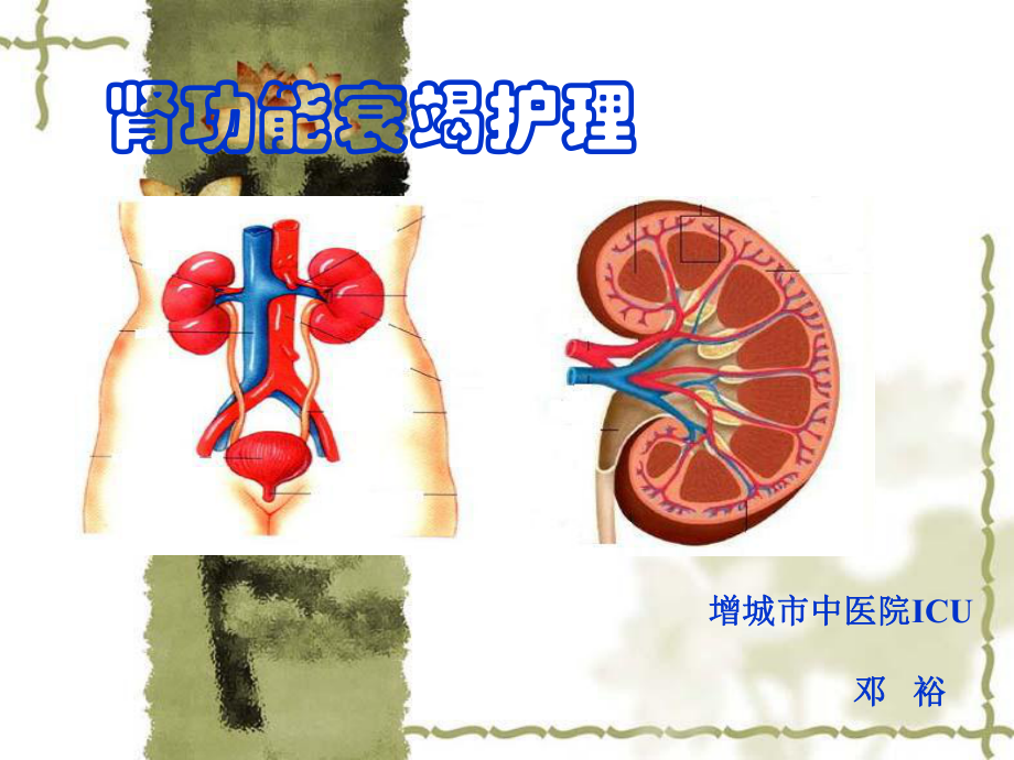 腎功能衰竭及護理副本_第1頁