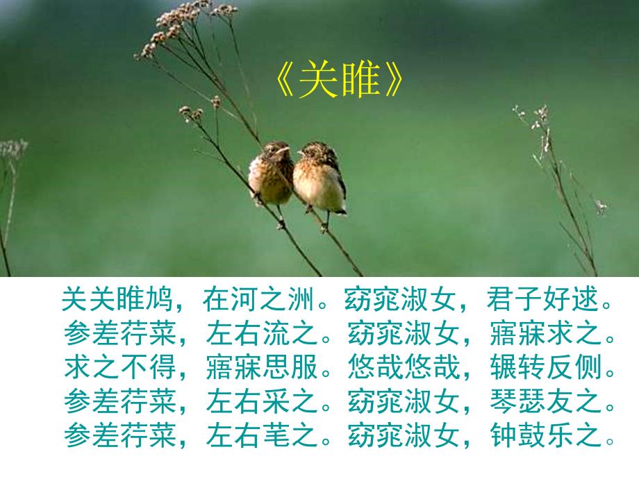 高二語(yǔ)文《詩(shī)經(jīng)》三首_第1頁(yè)