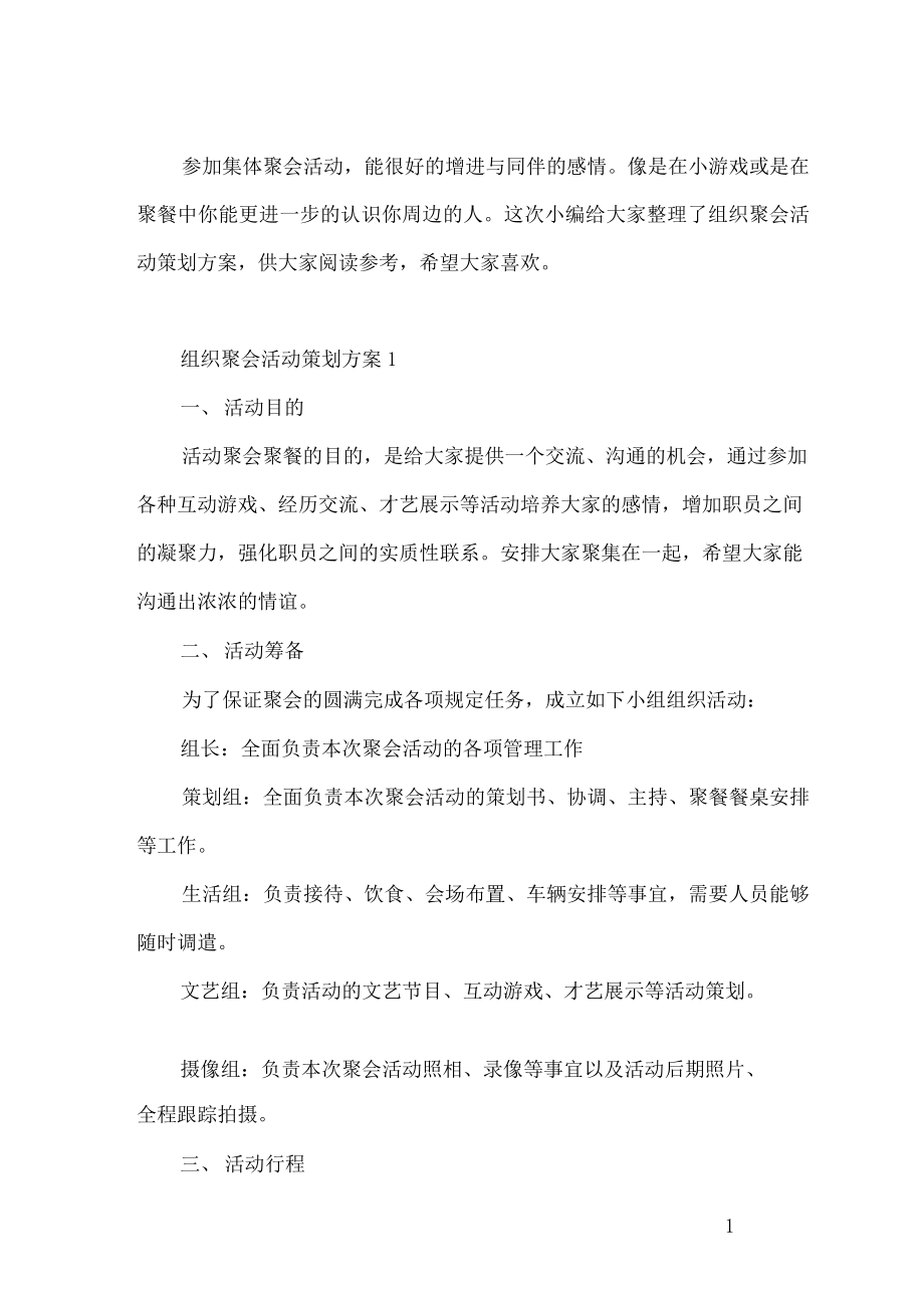 组织聚会活动策划方案_第1页