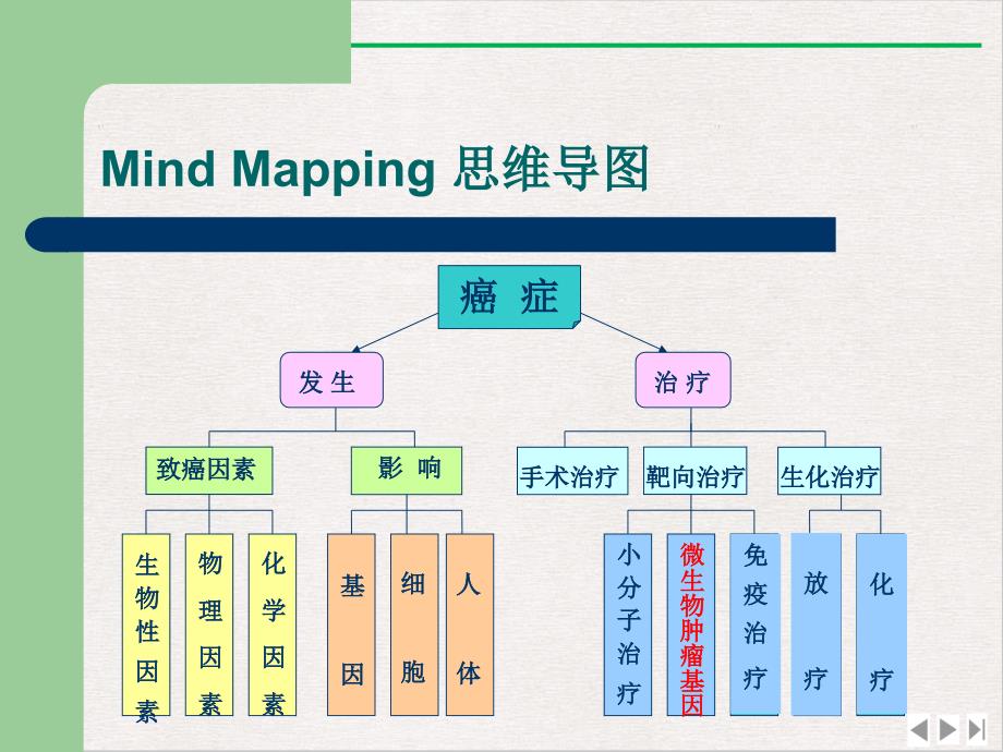 癌症的发生与治疗课件_第1页