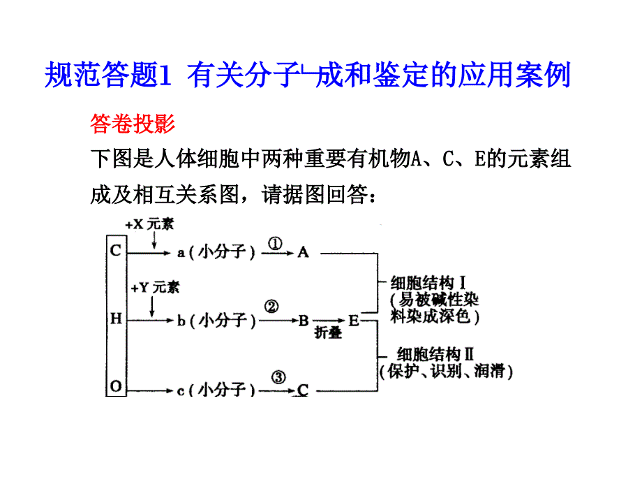 规范答题1有关分子组成和鉴定的应用案例_第1页