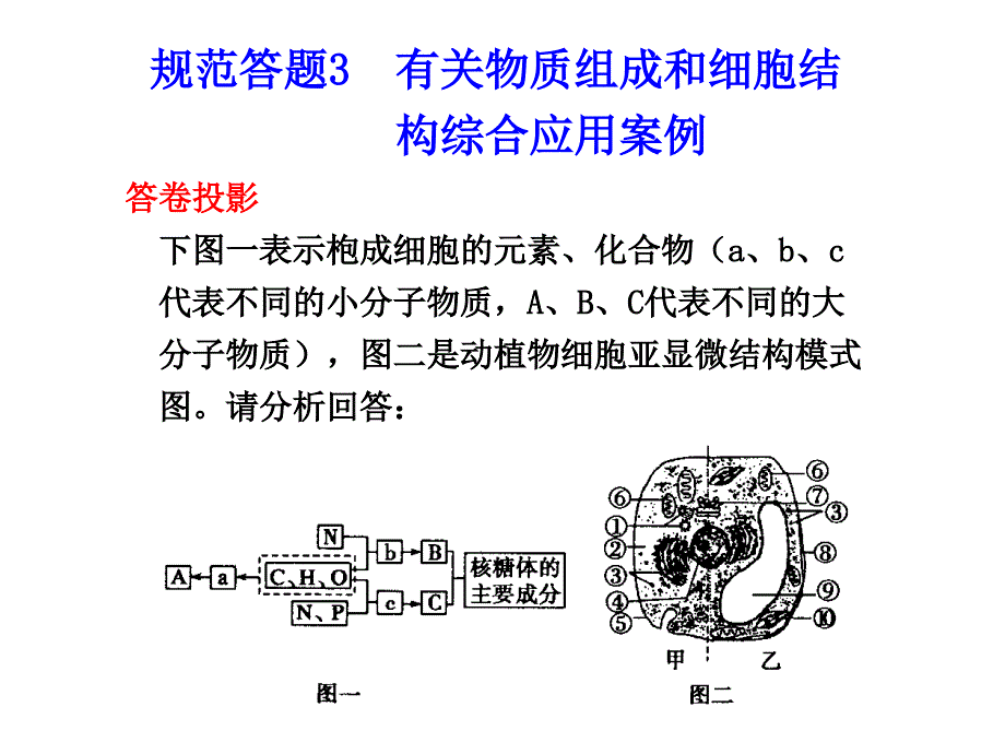 规范答题3有关物质组成和细胞结构综合应用案例_第1页