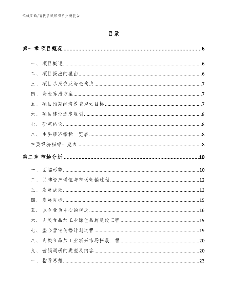 富民县酿酒项目分析报告（模板）_第1页