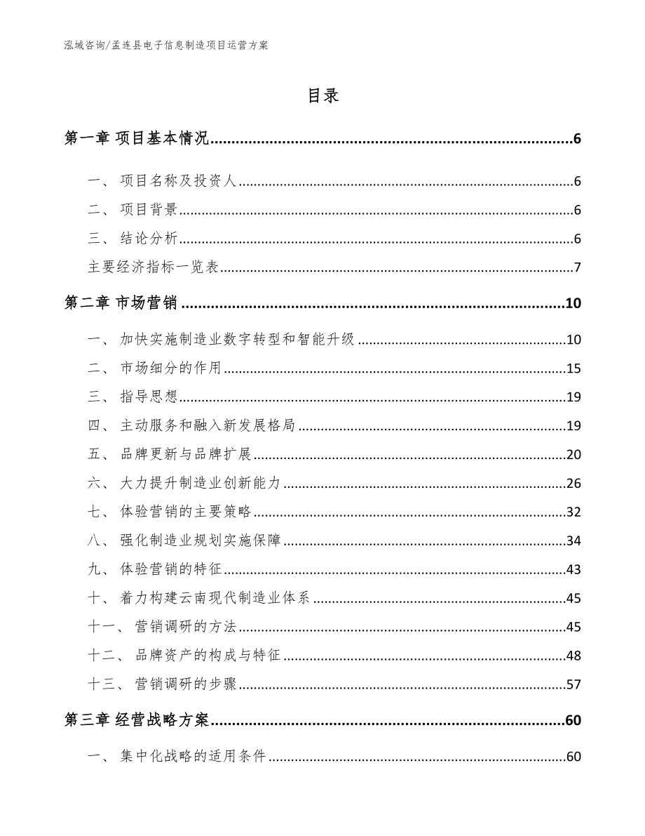 孟连县电子信息制造项目运营方案_第1页