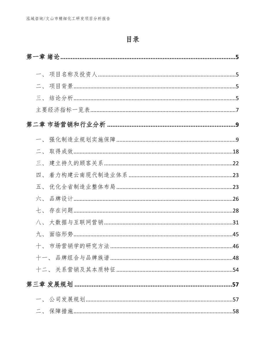 文山市精细化工研发项目分析报告【范文模板】_第1页