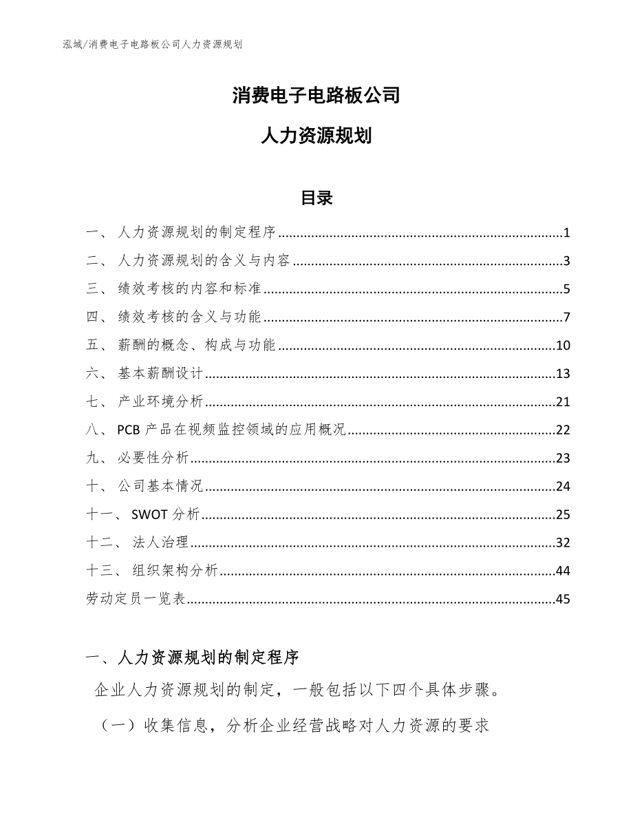 消费电子电路板公司人力资源规划【参考】_第1页