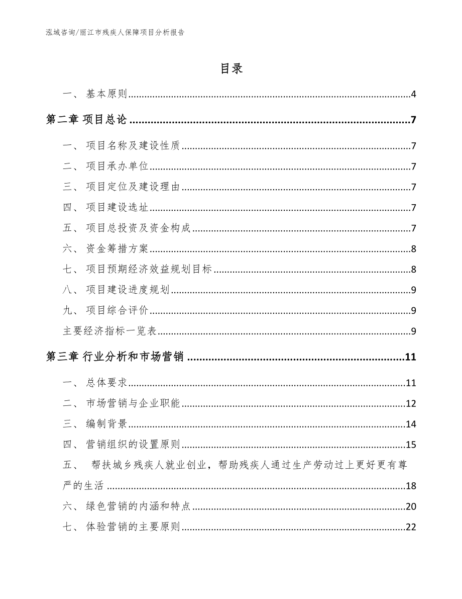 丽江市残疾人保障项目分析报告【范文】_第1页