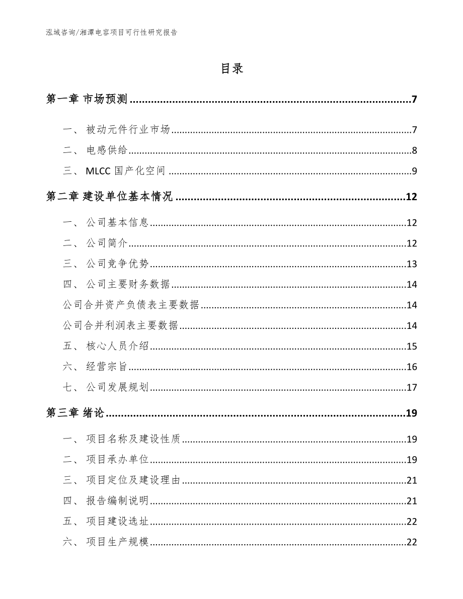 湘潭电容项目可行性研究报告【范文模板】_第1页