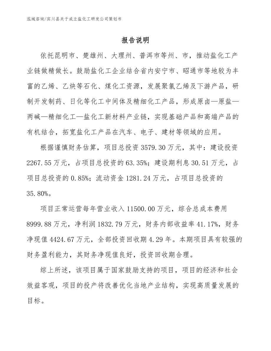 宾川县关于成立盐化工研发公司策划书_参考模板_第1页