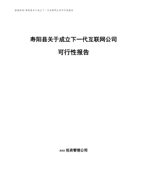 寿阳县关于成立下一代互联网公司可行性报告模板
