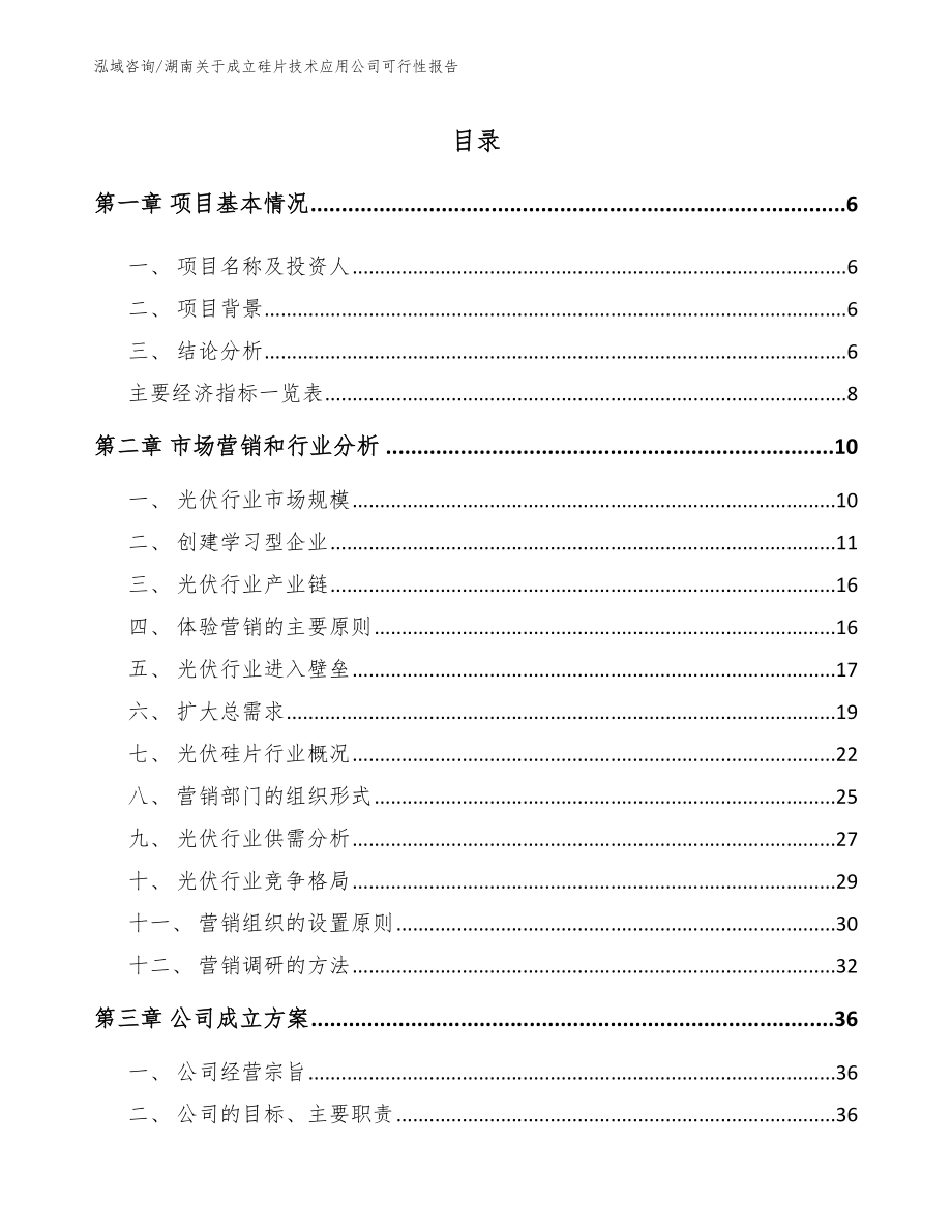 湖南关于成立硅片技术应用公司可行性报告_范文_第1页