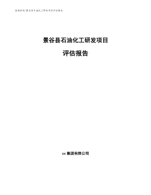 景谷县石油化工研发项目评估报告