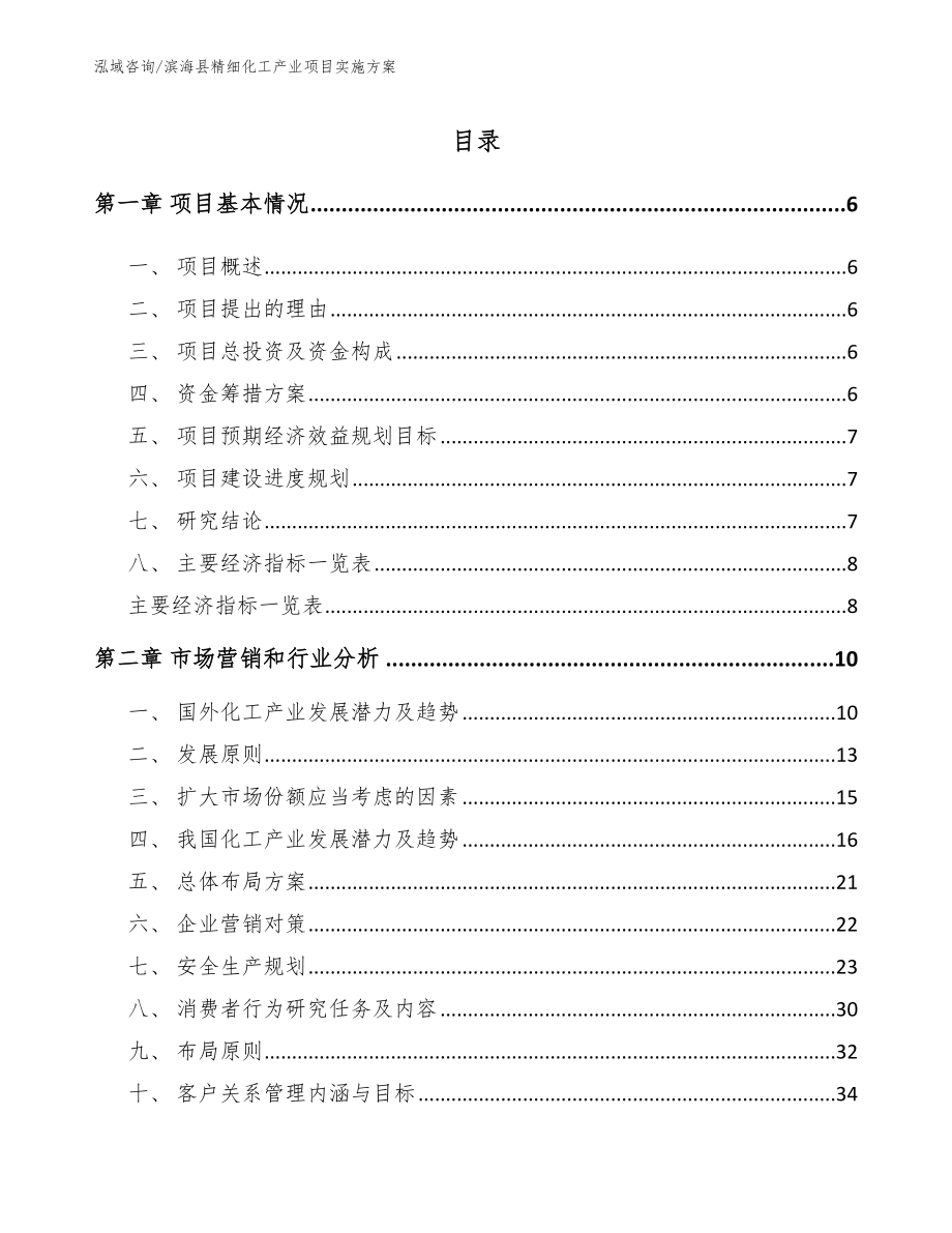 滨海县精细化工产业项目实施方案_第1页