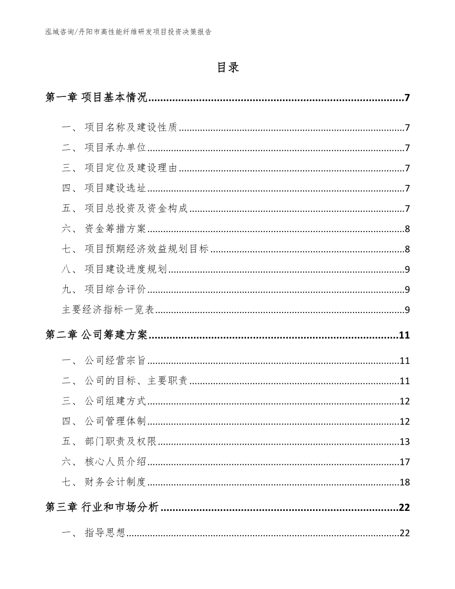 丹阳市高性能纤维研发项目投资决策报告【模板参考】_第1页