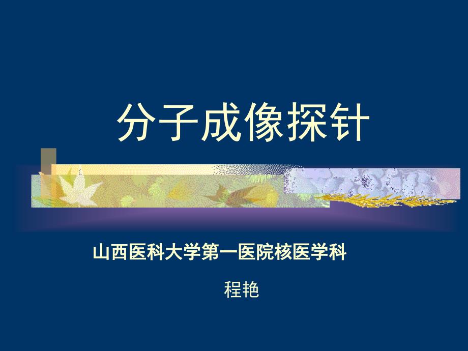 《分子成像探针》PPT课件_第1页