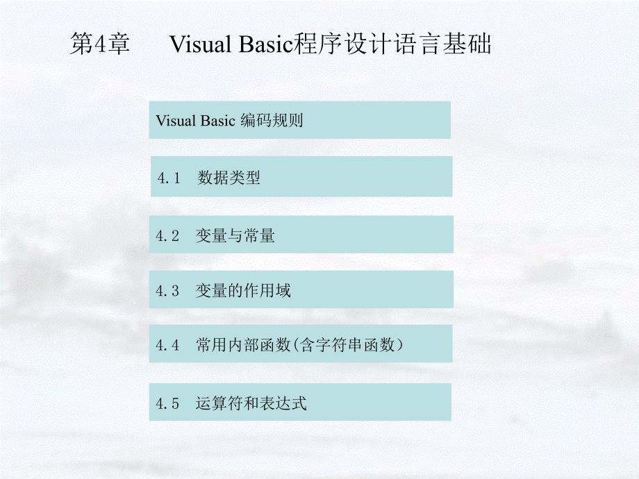 (精品)04VisualBasic程序设计语言基础 (2)_第1页