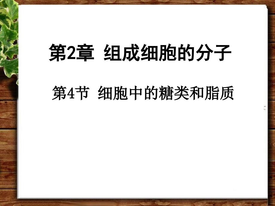 《细胞中的糖类和脂质》教学课件_第1页