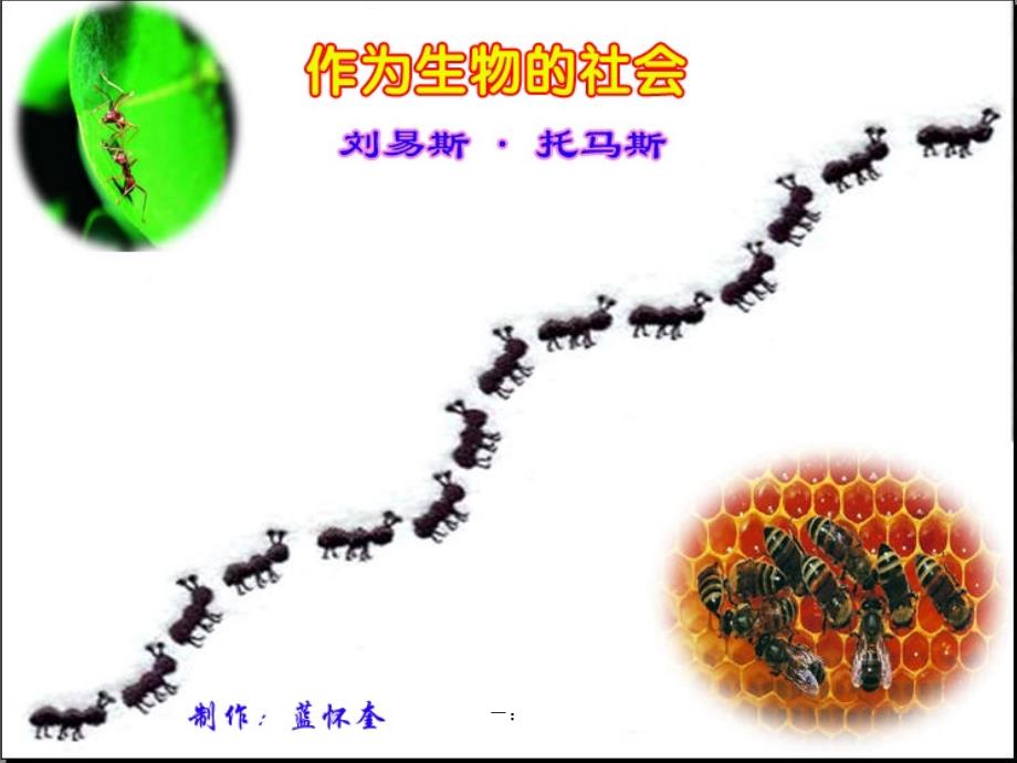 《作为生物的社会》上课ppt_第1页